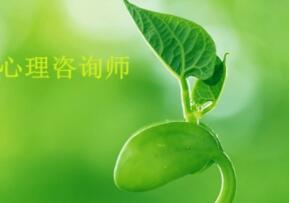 心理咨询师