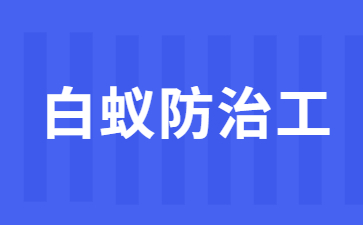 广州白蚁防治工证报考条件