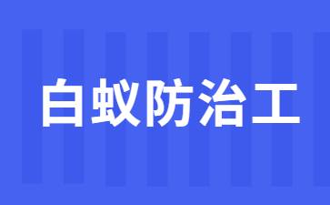 广州白蚁防治工证哪里考
