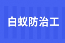 中山白蚁防治工证怎么报名