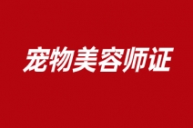 合肥宠物美容师证要多少钱